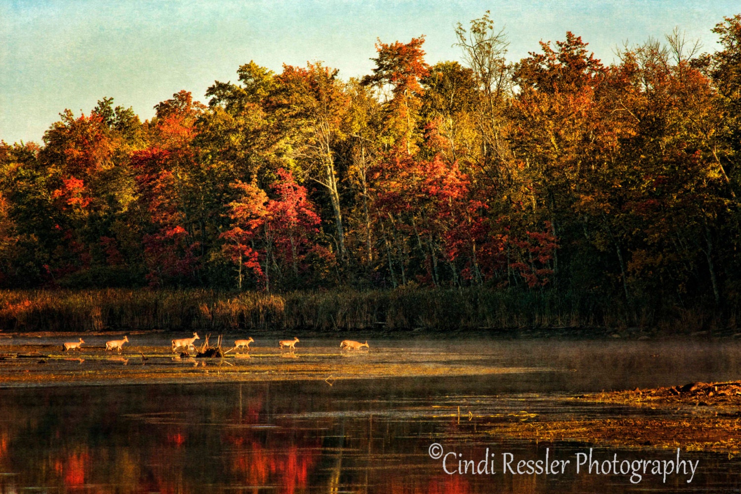 Dewi Jewelry Crossing The Lake Fine Art Photography Maine Dewi Jewelry Crossing The Lake Fine Art Photography Maine