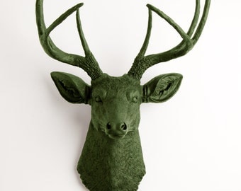 Faux Taxidermy Deer Head - The Basil - Olive Resin Stag Head- Olive Deer Antlers Mounted- Faux Head Wall Mount by White Faux Taxidermy