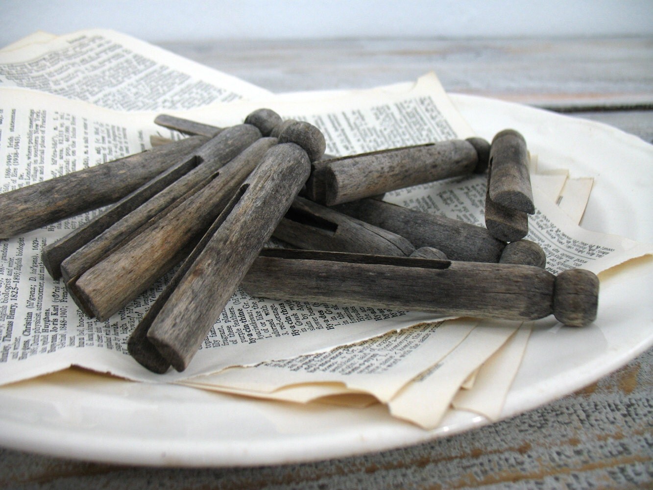 Vintage Clothespins Set of 10 Haute Juice