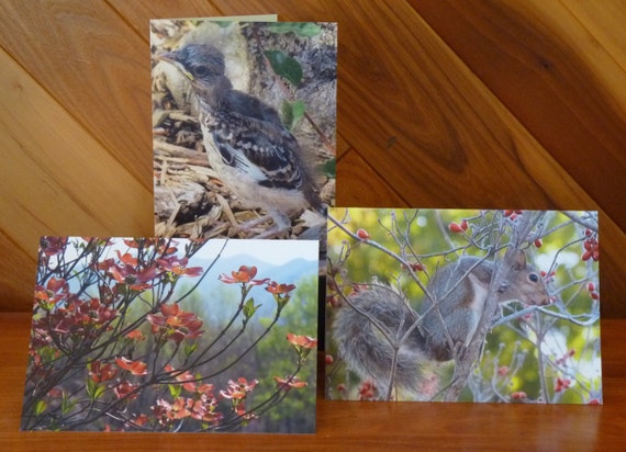 Set of three (different images)  5" X 7" Greeting Cards/Envelopes, Blank Inside - Shenandoah Valley Collection