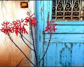 Fine art print photography : Greek blue door, red flower. Fine art print photography : Greek blue door, red flower.