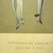 Arte Espanol Armour Carlos The 5TH, 1880