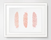 Pink Feathers, Coral Feather Print, Peach Feather Wall Art, Pink Feather Wall Prints, Pink Wall Art, Coral Wall Prints, Peach Printable Art