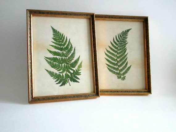 Fern Print Pair Of Framed Botanical Prints By GoldenDaysDesigns   Il 570xN.620531882 Togy 