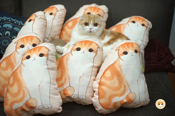 Items similar to Waffles The Cat Scottish Fold Pillow Cushion Plush on Etsy