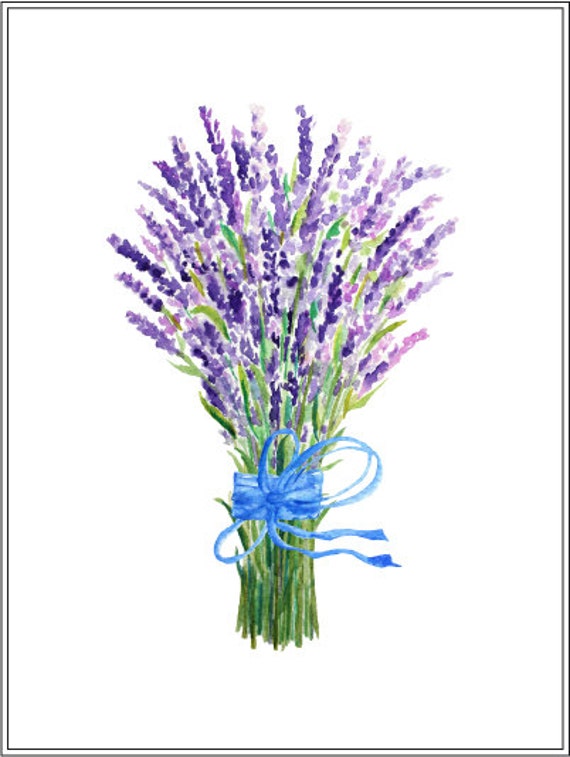 Lavender Clip Art, hand painted watercolor lavender blue ...