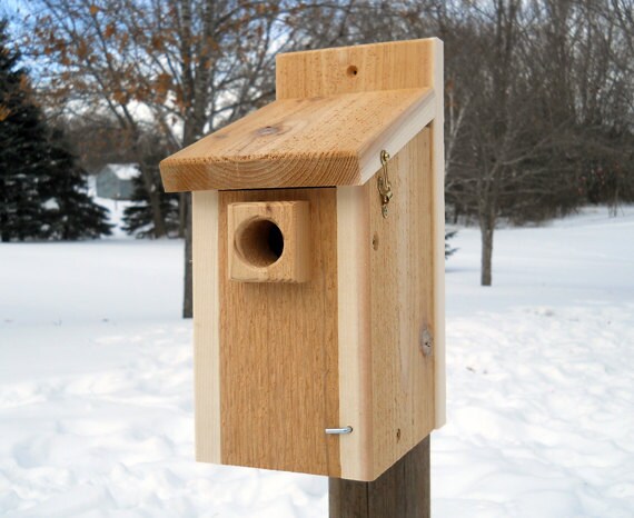 wood bird house cedar chickadee birdhouse nuthatch wood bird house cedar chickadee birdhouse nuthatch