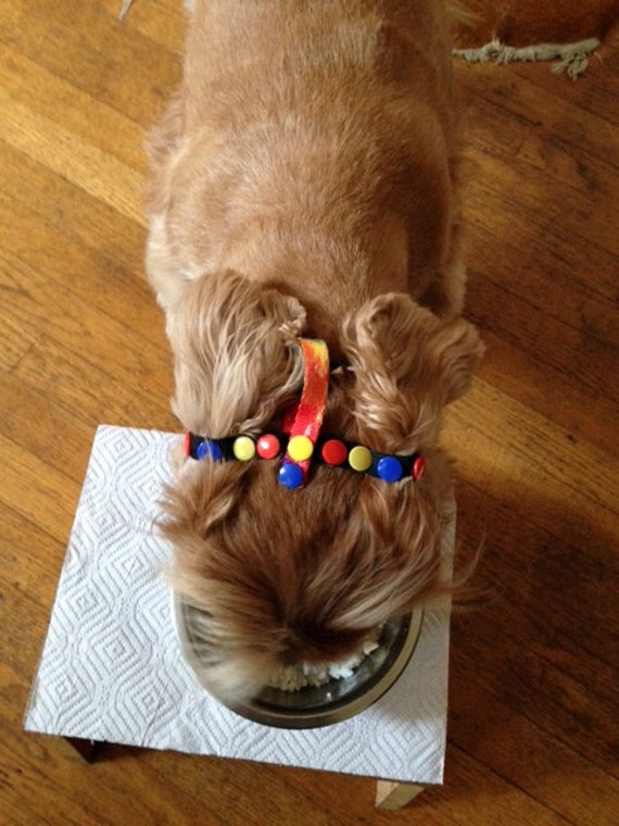 Multi Versatile Ear Harness for Long Ear Dogs or by ChaunChaun