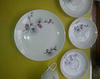 Vintage Canonsburg Wild Clover Set of 60 Piece Dish Set GREAT!