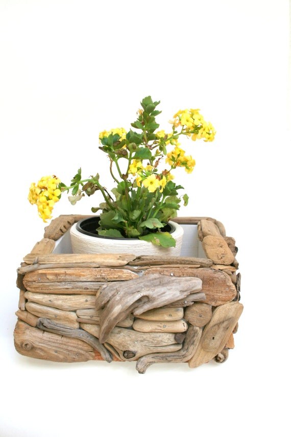Driftwood planter beach decor