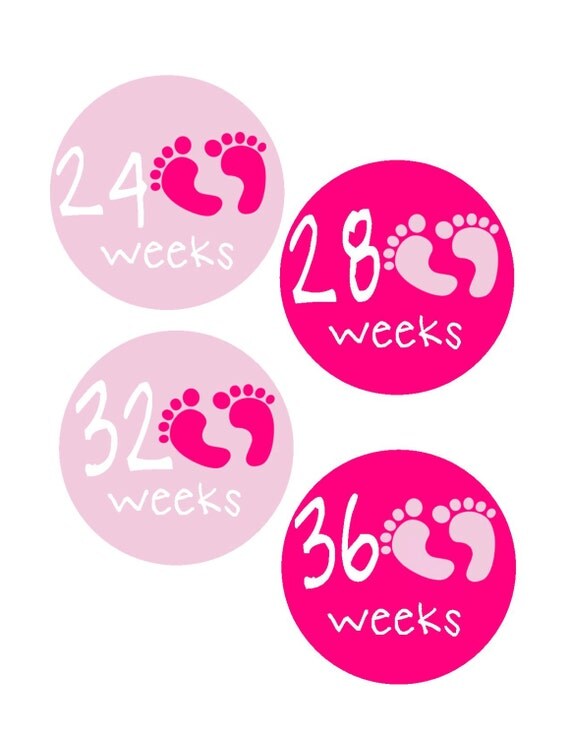 Weekly Pregnancy Stickers Pregnancy Announcement Pregnancy