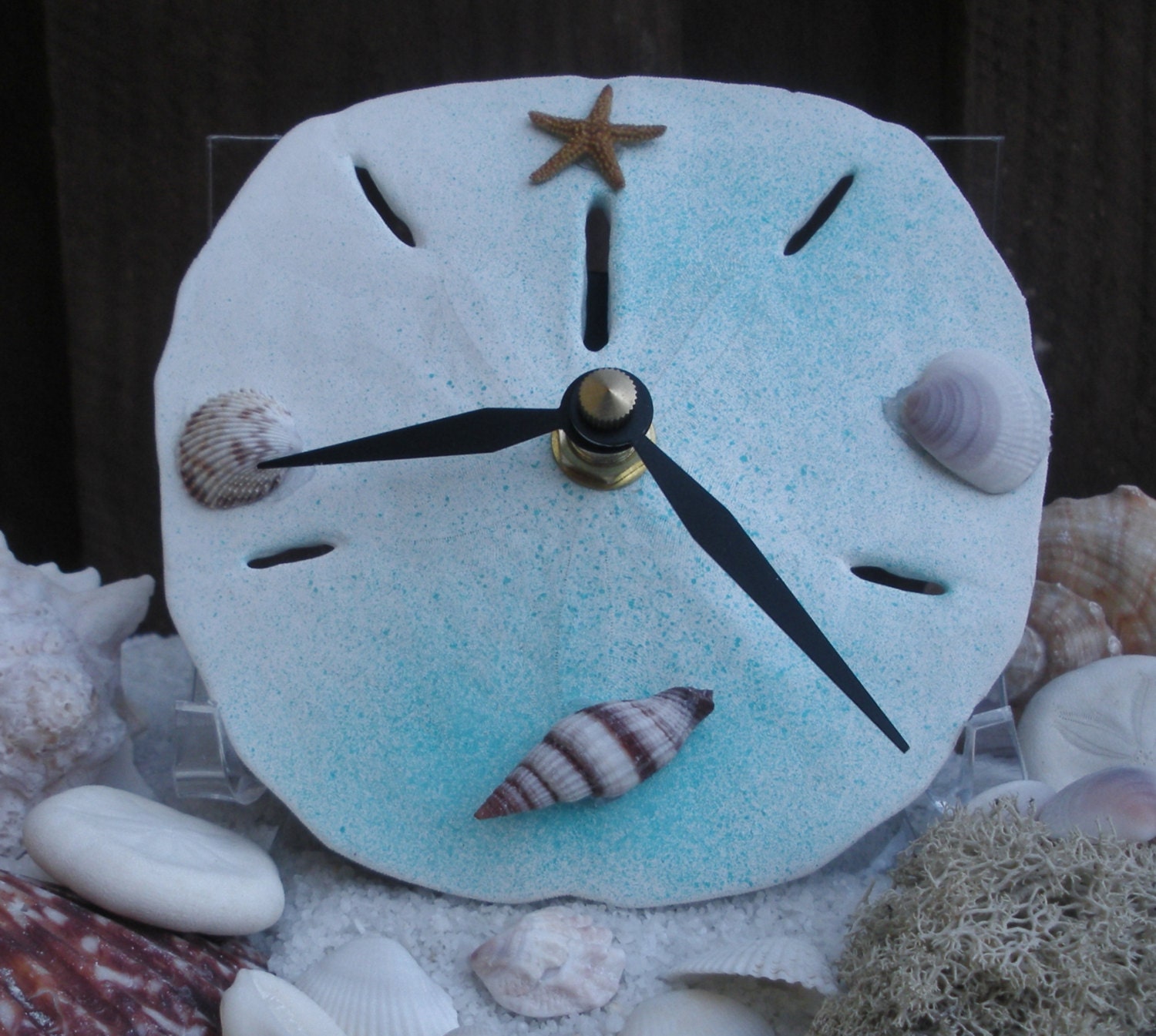 Sand Dollar Clock. Working clock. Made with real shells.
