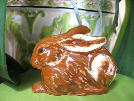 goebel brown bunny