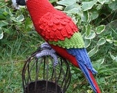 Amigurumi Red-and-Green Macaw/Parrot- crochet pattern, PDF Amigurumi Red-and-Green Macaw/Parrot- crochet pattern, PDF