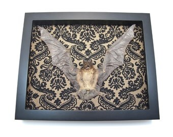 Gothic Wall Decor