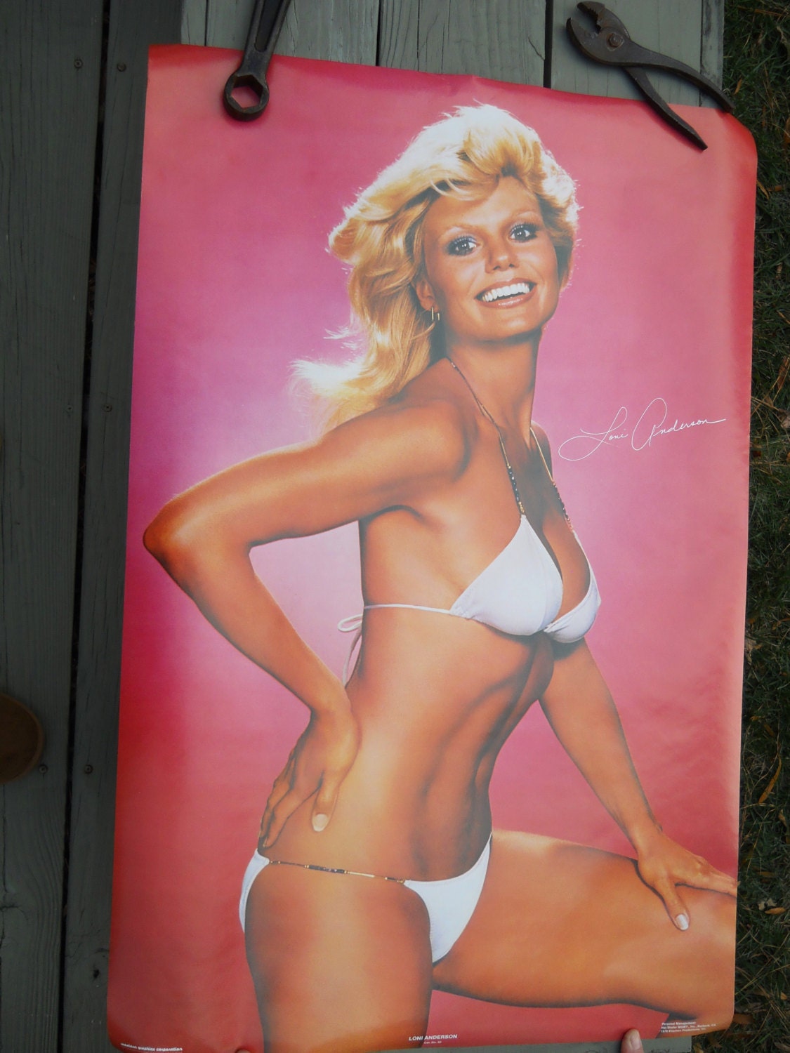 Vintage 1978 Loni Anderson Poster From 1978
