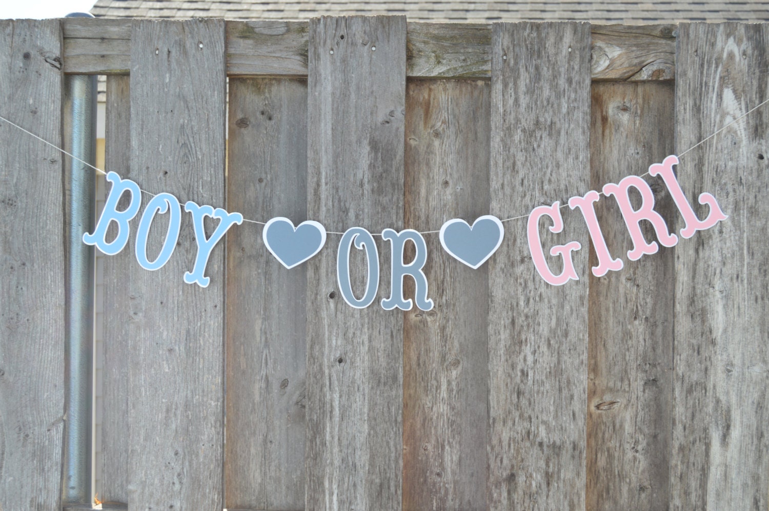 Boy or Girl Banner Boy or Girl sign Boy or girl Gender