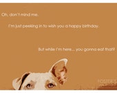 Birthday E-Card for Digital Download | Dog, Pit Bull | Portion of Proceeds go to Charity