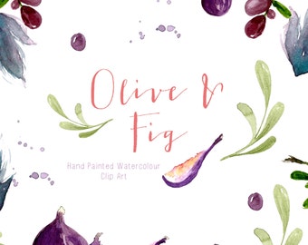 Watercolour Clip Art - Olive and Fig