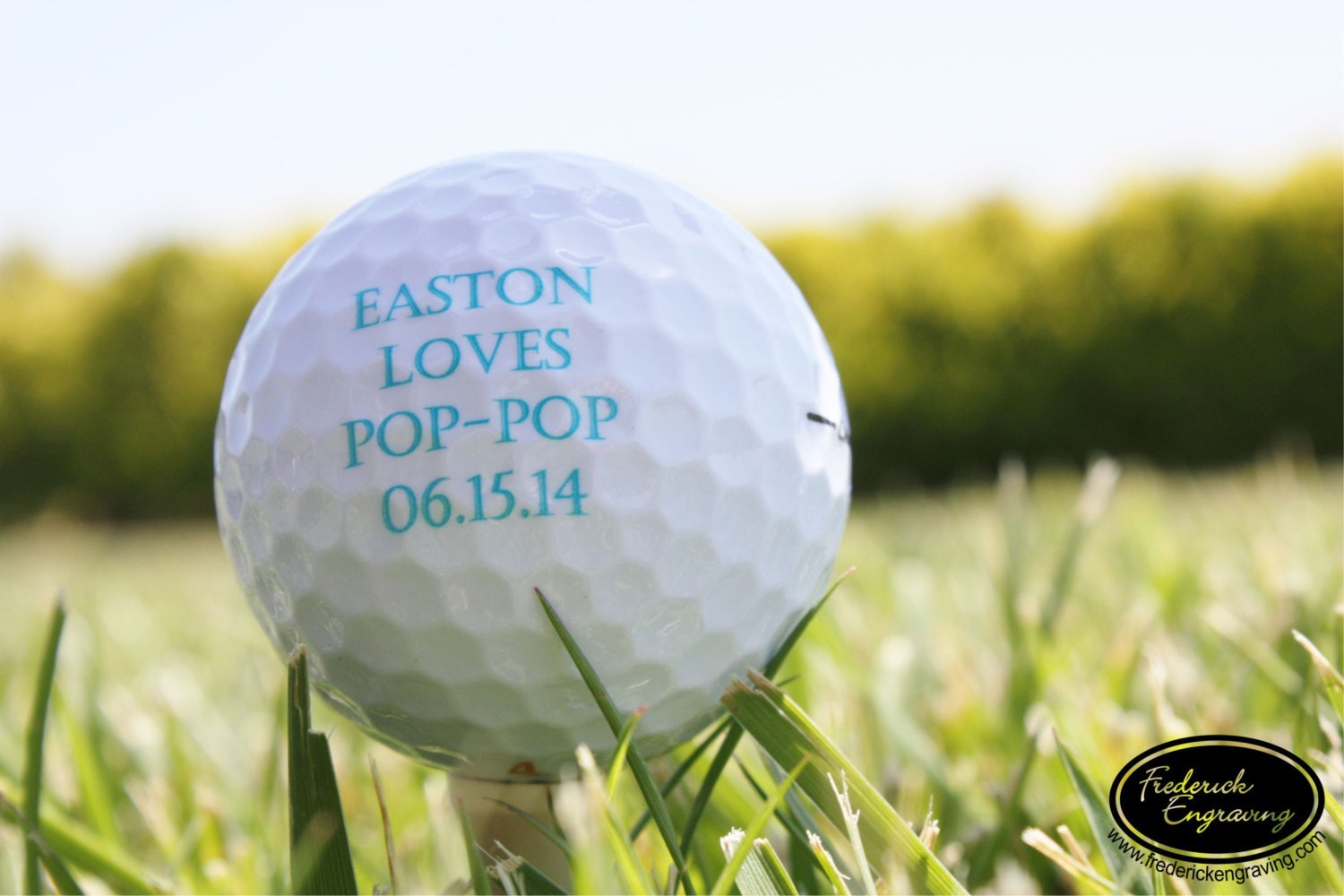 SHIPS FAST Personalized Golf Balls Custom Golf Gift for Dad