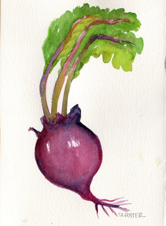 Beet watercolors paintings original kitchen by SharonFosterArt