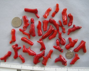 Red Coral Branch Pieces lot of 30