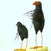 Raven's Dinner - California Carved - Wash Those Hands THEN You May Have Your Roadkill - Free USA Shipping