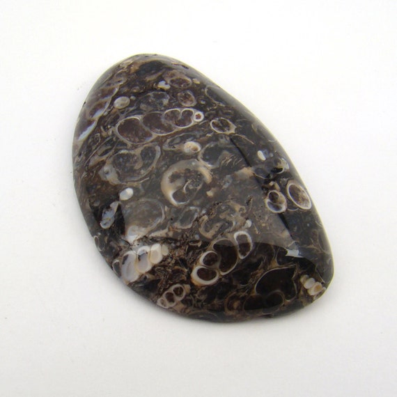Turritella agate cabochon fossil large flat black by laurelmoon