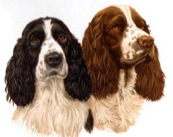 ENGLISH SPRINGER SPANIEL 2 dogs in Both Colors on One 16 inch Fabric Panel to Sew. Actual Picture is 8" x 10"on white background.