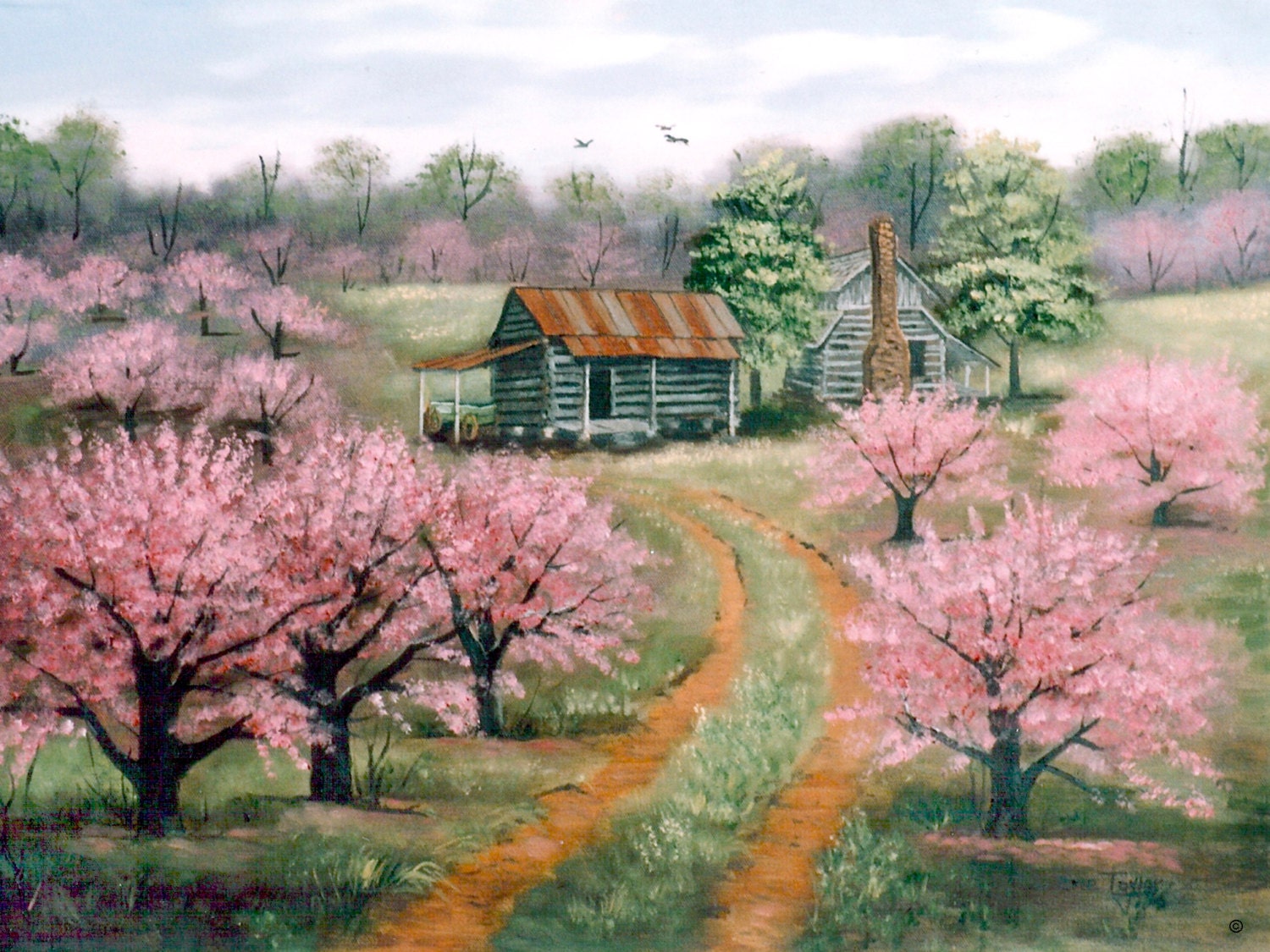 Spring Print Old Peach Orchard Apple Orchard Pink Trees