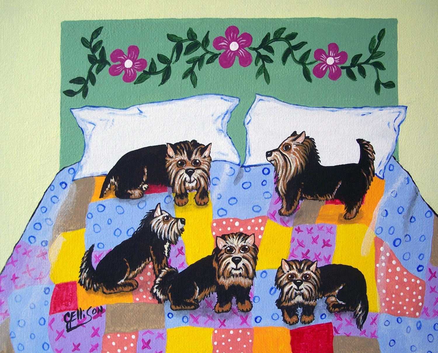 Dogs Bed Full of Yorkies Yorkshire Terriers