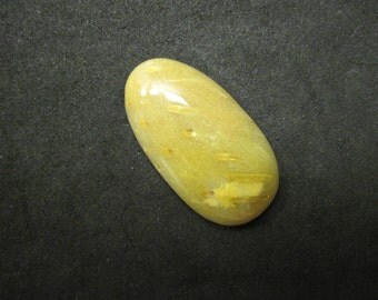 Petrified palm cabochon