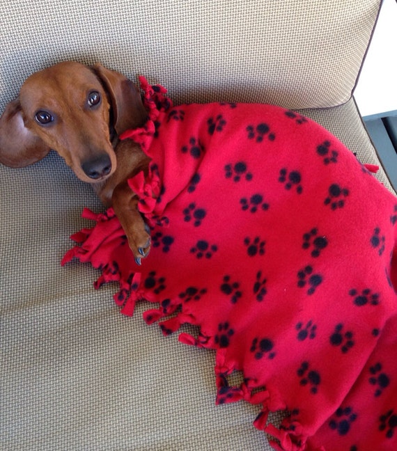 Dog Print Doggie Chewing Blanket