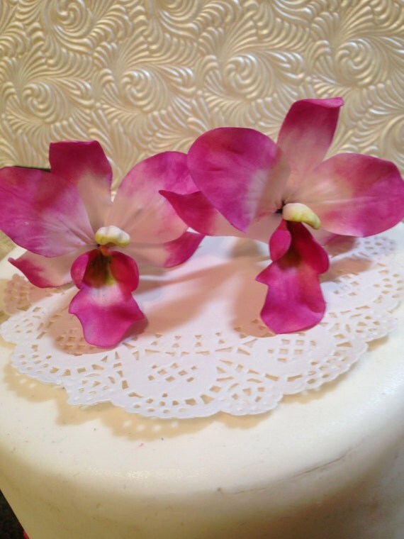 1 single Edible Singapore Orchid flower