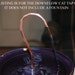 For Thirstycat Fountains 6 inches or wider - Down-flow Cat Tap - "Faucet" add-on