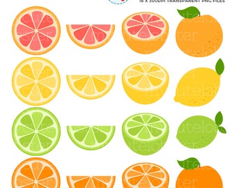 Citrus Fruits Clipart Set - clip art set of fruits, lemon, grapefruit, lime, orange - personal use, small commercial use, instant download
