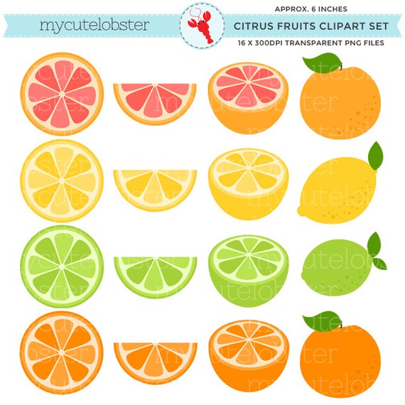 clipart citrus fruits - photo #1