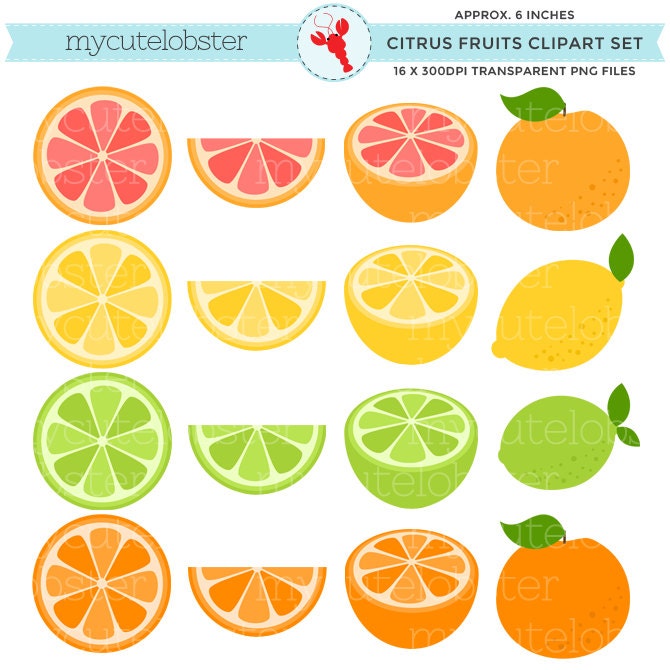 free citrus fruit clipart - photo #6