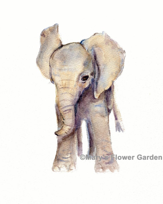 Elephant Baby Watercolor Nursery Print from by Marysflowergarden