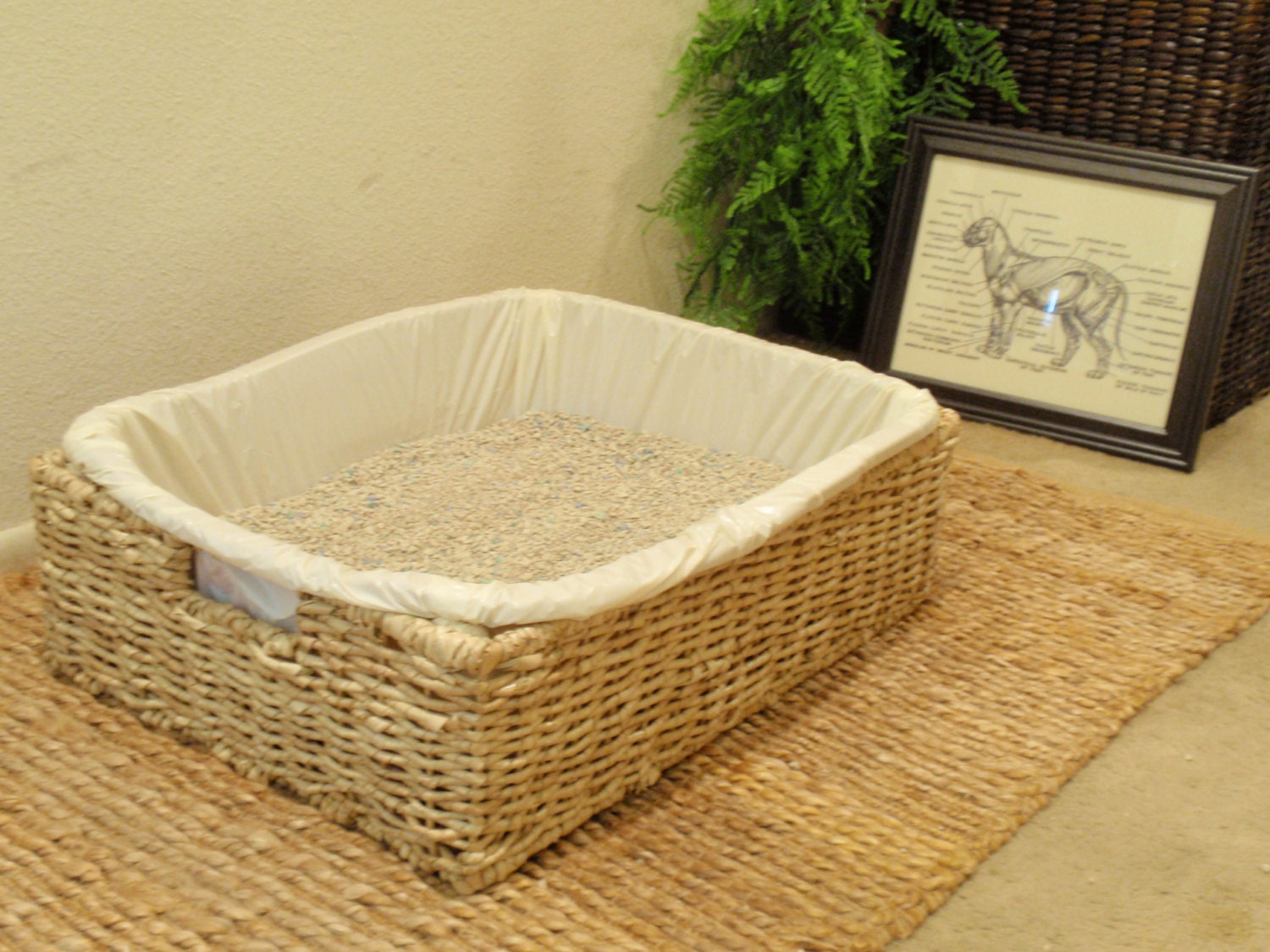 Zen Cat Litter Box Set Cat Litter Box for the by LeafAndGrain
