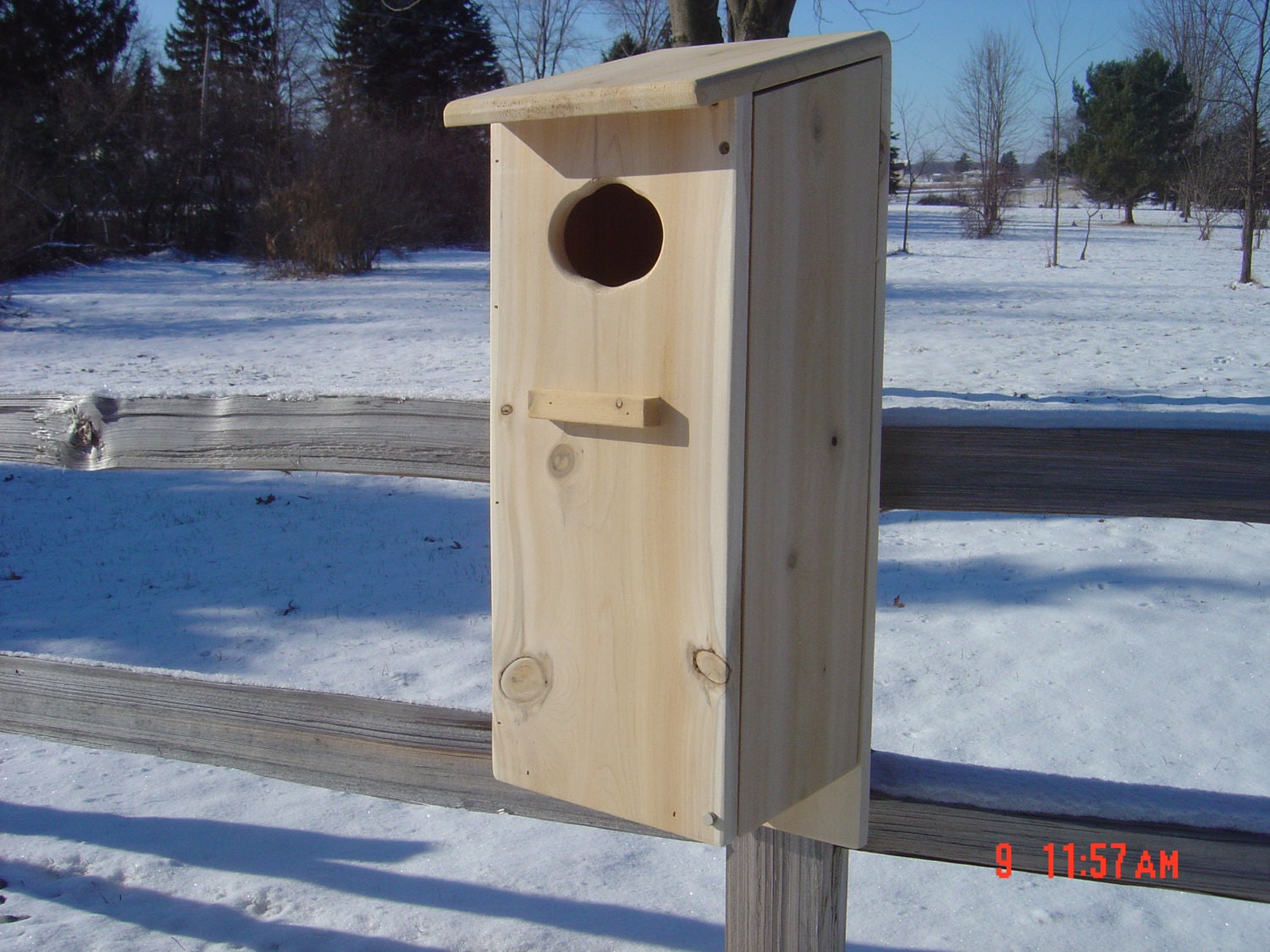Wood Duck / Mandrian Nesting Box
