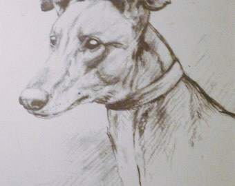 Popular items for whippet greyhound on Etsy