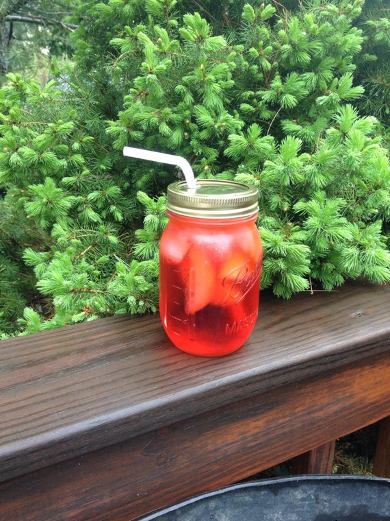 SET of 4 DIY Mason Jar To Go Cup/Sippy Tumbler Set