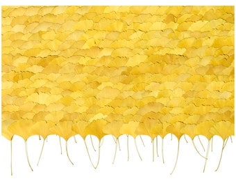 Yellow Wall Art yellow wall art | etsy Yellow Wall Art yellow wall art | etsy