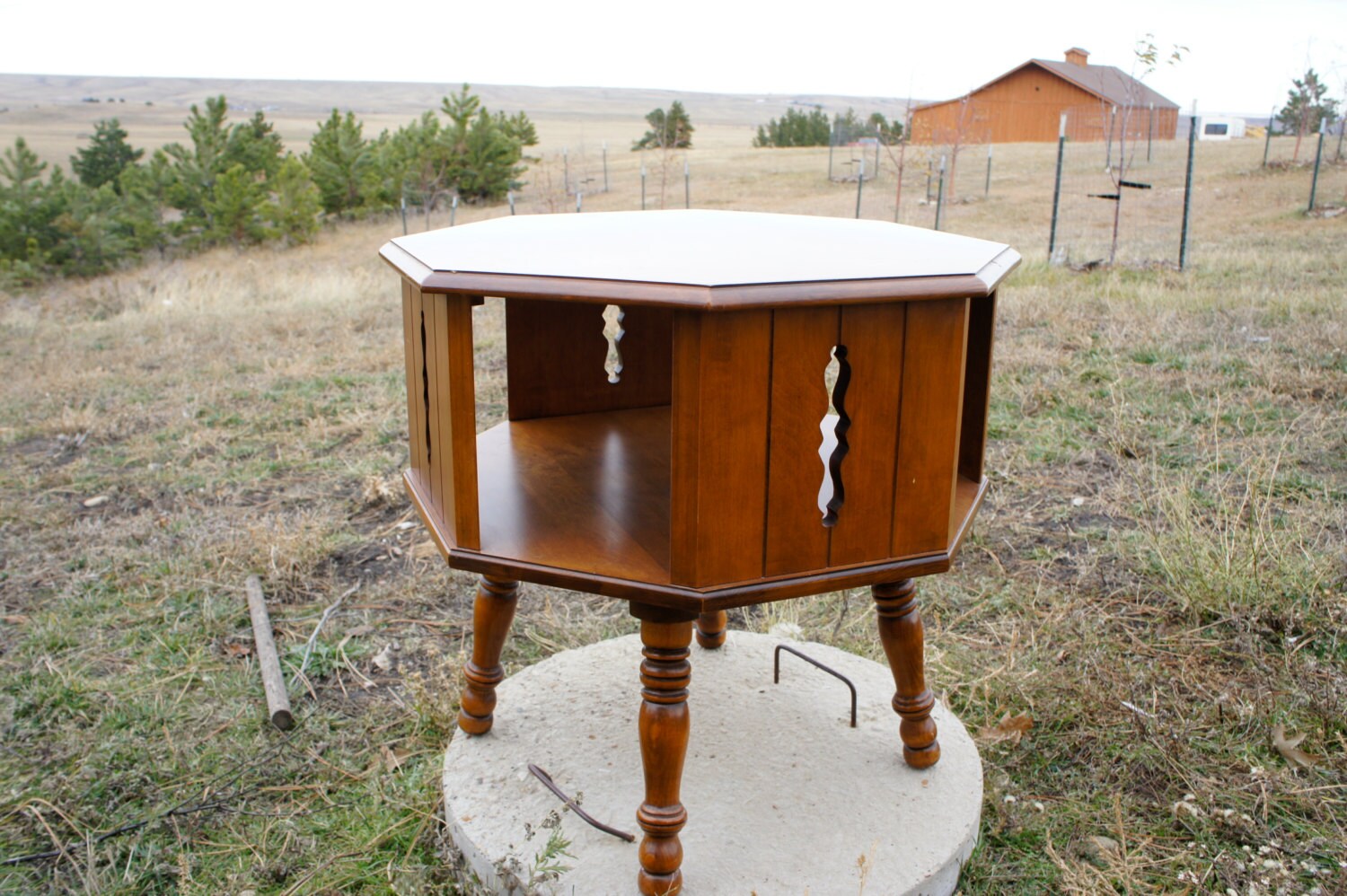 vintage 8443 Tell City Maple end table with revolving drum lazy susan
