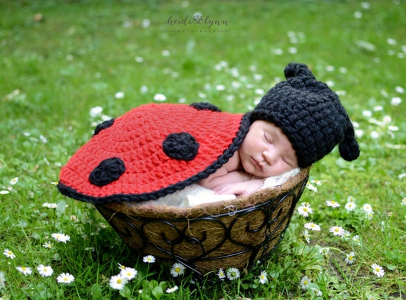 ladybug hat pattern crochet Crochet costume, Pattern, ladybug ladybug Prop blanket, Photo ladybug