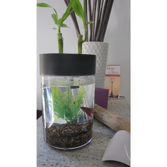  to Indoor herb garden betta fish tank aquaponics Lrg 8" diam on Etsy