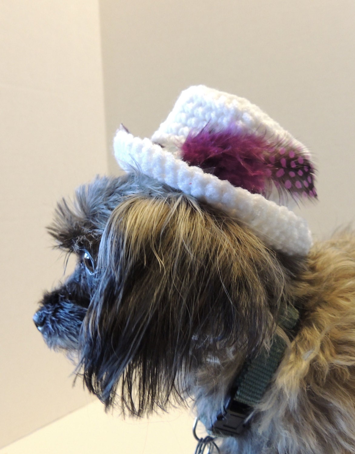 Wedding Top hat Dog hat Cat hat Top hat Photo