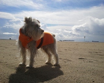 Custom Comfy Cozy Dog Sweaters