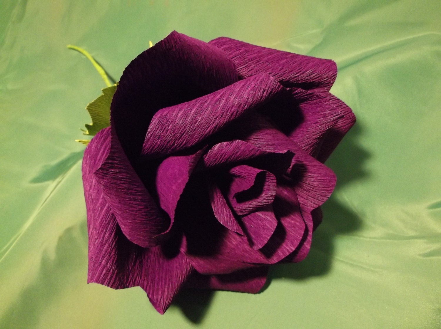 research papers on the largest flower research papers on the largest flower